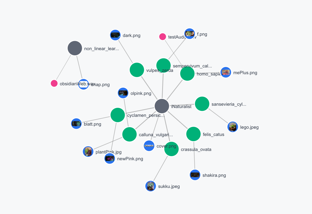 Flora & Fauna Taxonomy Pipeline mit YOLOE & iNaturalist API