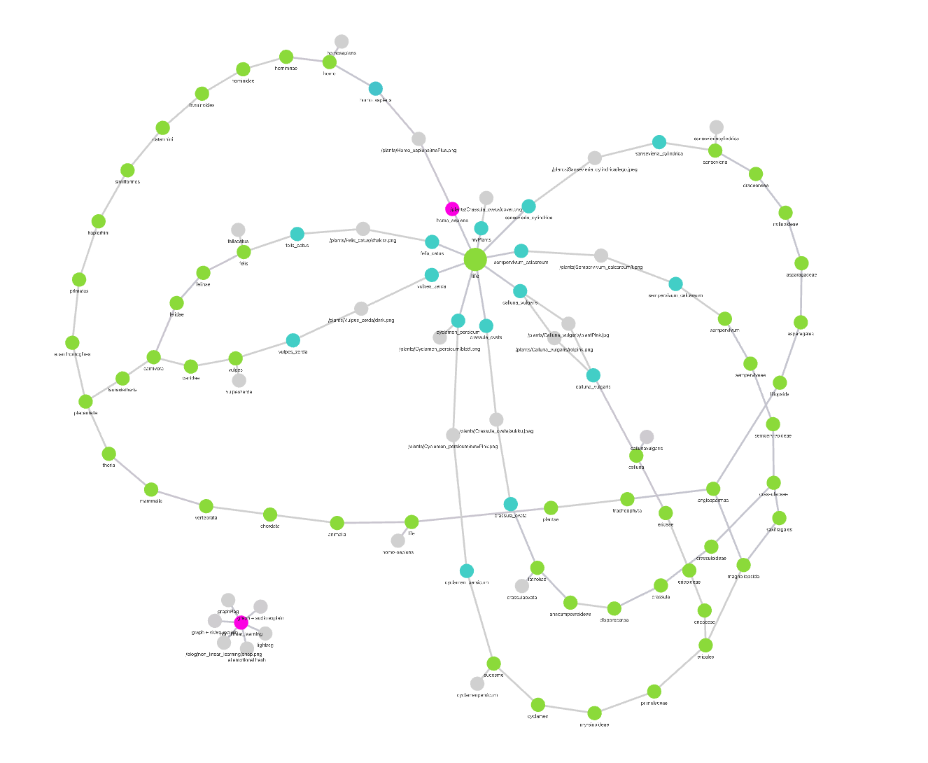 Flora & Fauna Taxonomy Pipeline mit YOLOE & iNaturalist API