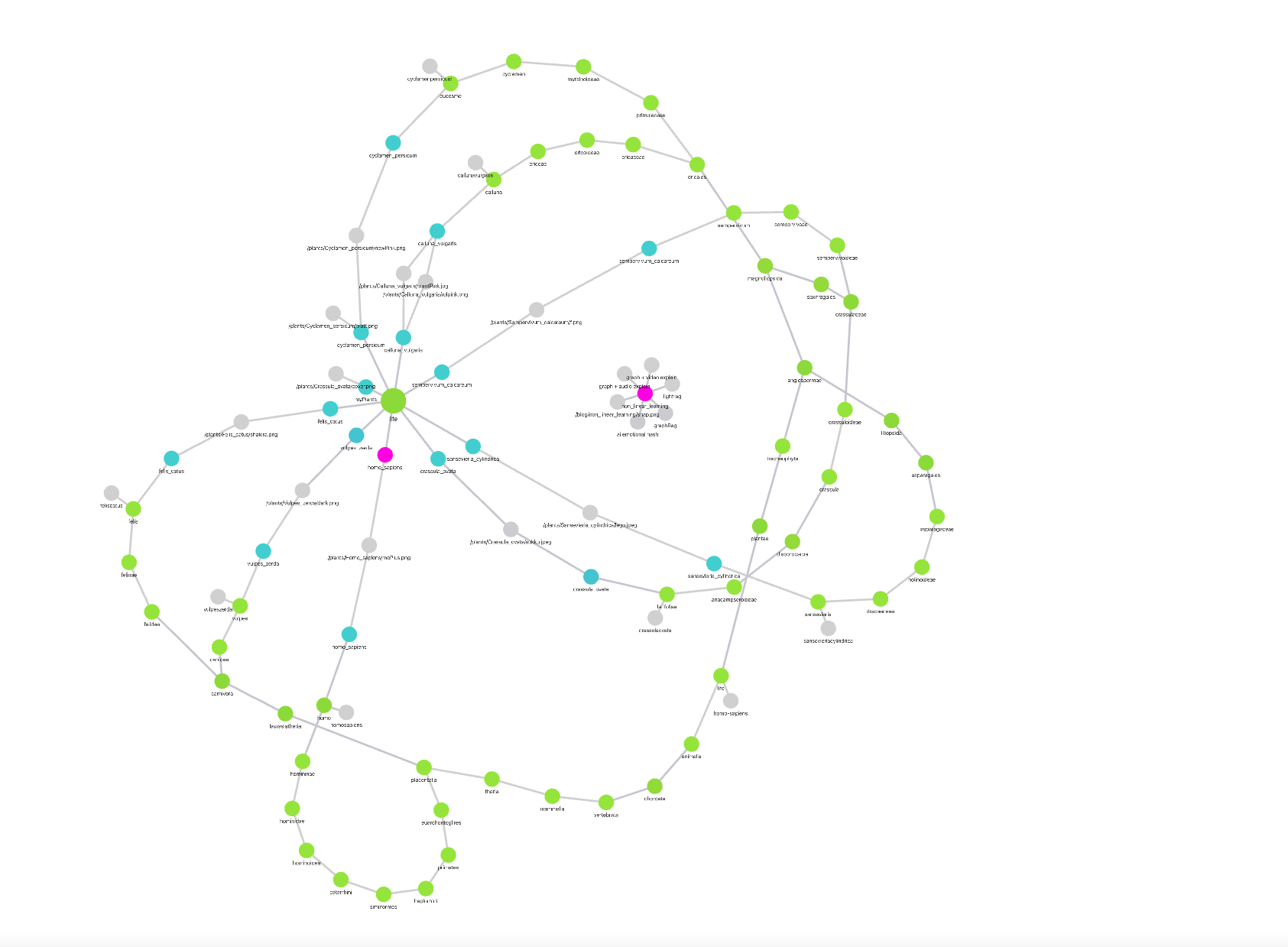 Flora & Fauna Taxonomy Pipeline mit YOLOE & iNaturalist API
